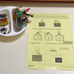 Sciences (2)